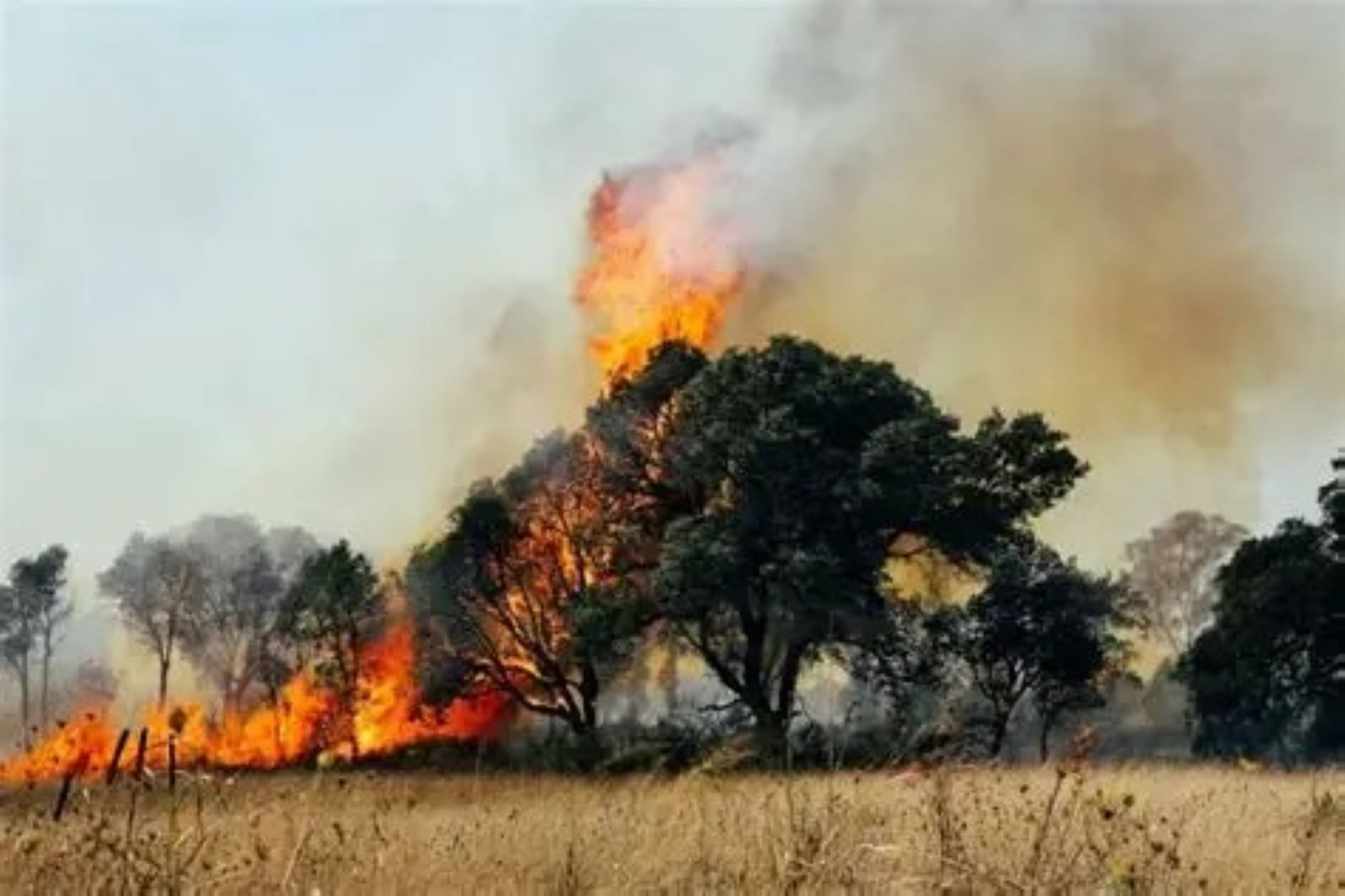 Εκρηκτικό 48ωρο: Το φαινόμενο «Hot‑Dry‑Windy» φέρνει ακραίο κίνδυνο πυρκαγιών – Στο στόχαστρο 27 περιοχές της χώρας