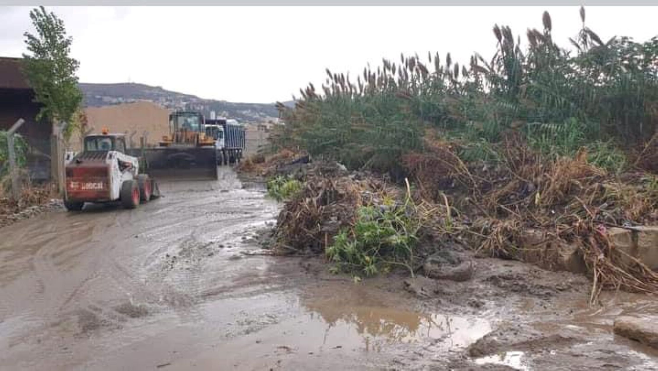 Ά&nu;&omega; &Gamma;&lambda;&upsilon;&phi;ά&delta;&alpha;: &Pi;ό&lambda;&eta; &theta;&alpha;&mu;&mu;έ&nu;&eta; &sigma;&tau;&eta; &lambda;ά&sigma;&pi;&eta; &mu;&epsilon;&tau;ά &tau;&eta; &phi;&omicron;&nu;&iota;&kappa;ή &kappa;&alpha;&kappa;&omicron;&kappa;&alpha;&iota;&rho;ί&alpha;