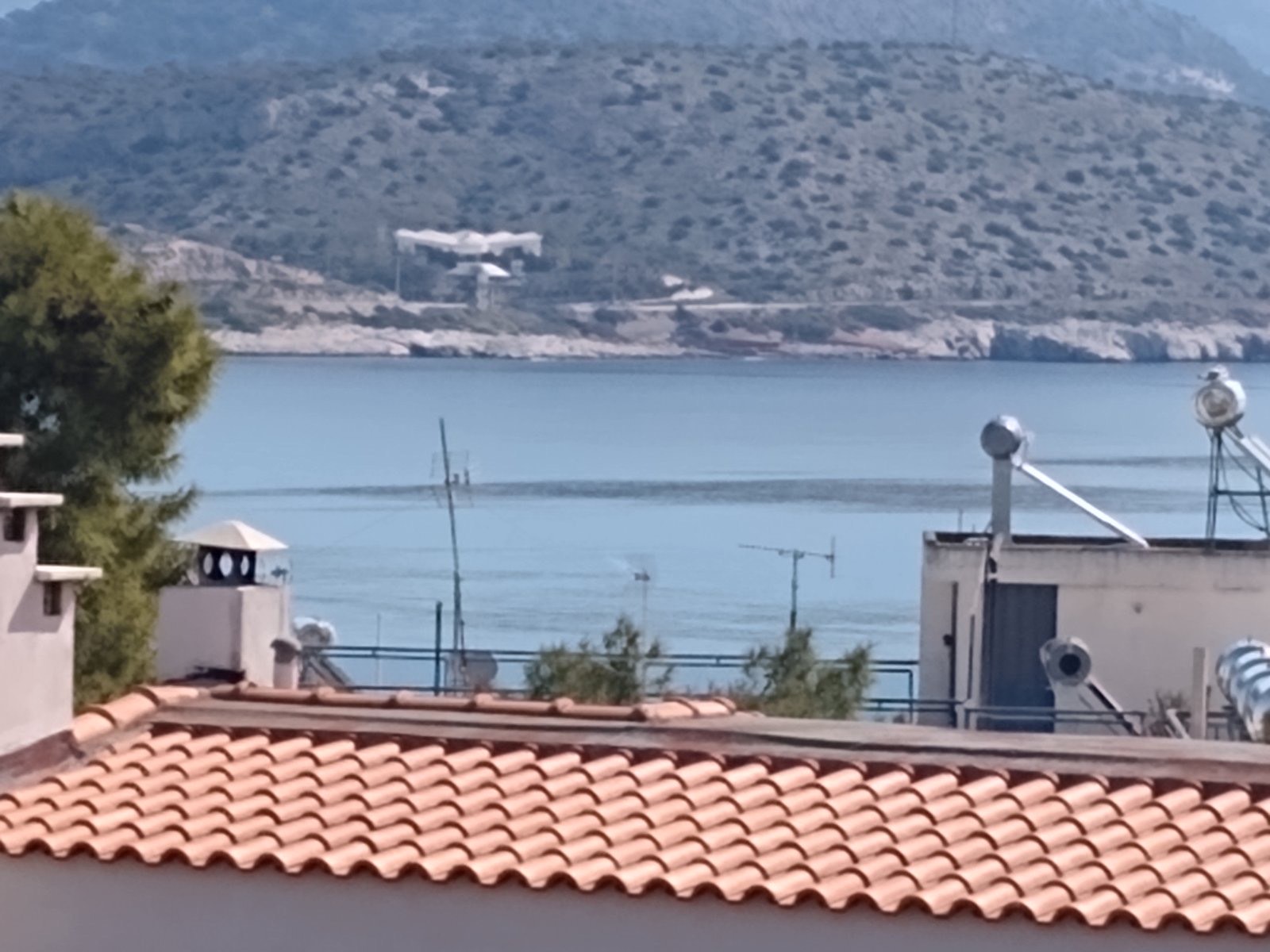 Υγειονομική «βόμβα» στον κόλπο της Βάρκιζας!