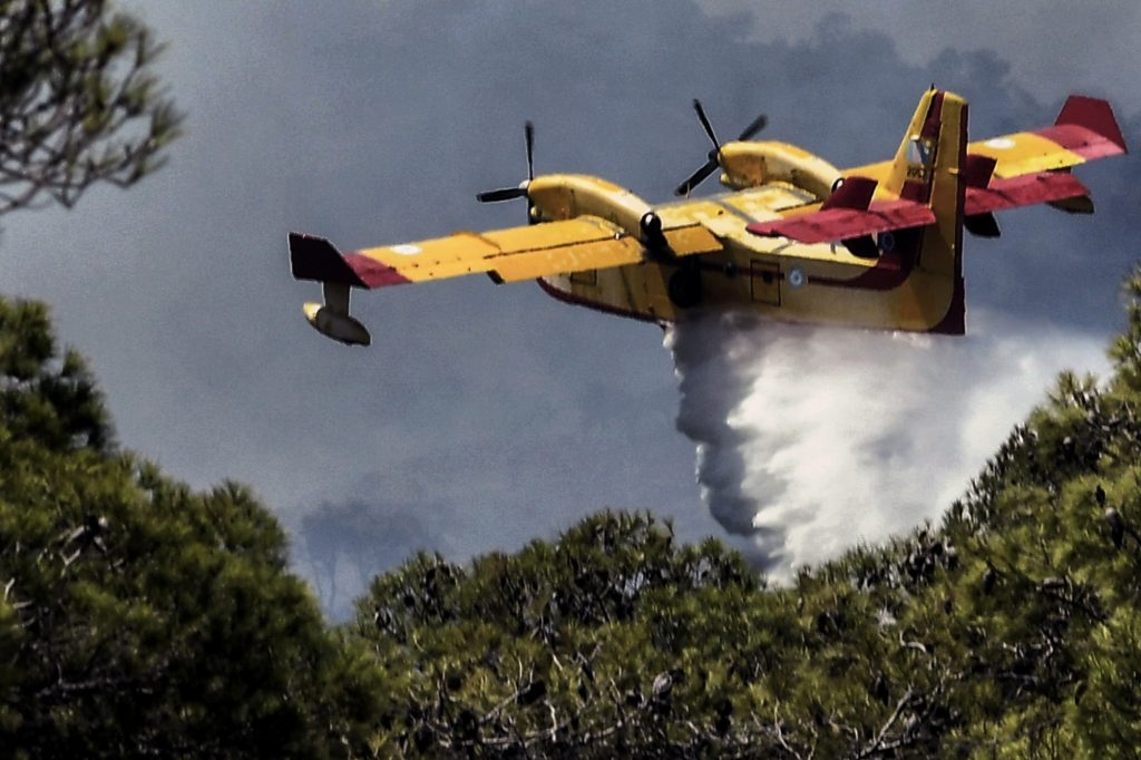 Αρχίζει από σήμερα η αντιπυρική περίοδος - Ποιες δραστηριότητες απαγορεύονται