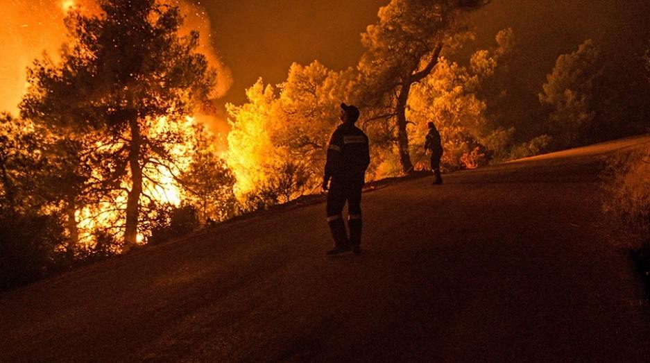 Οι 4+1 προτάσεις για την αντιμετώπιση των πυρκαγιών