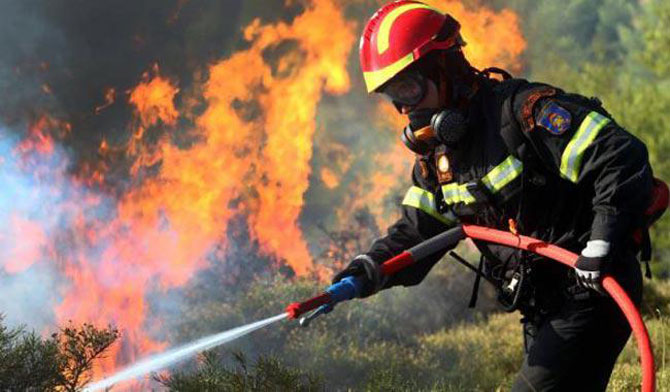 H προστασία των δασών είναι υπόθεση όλων μας